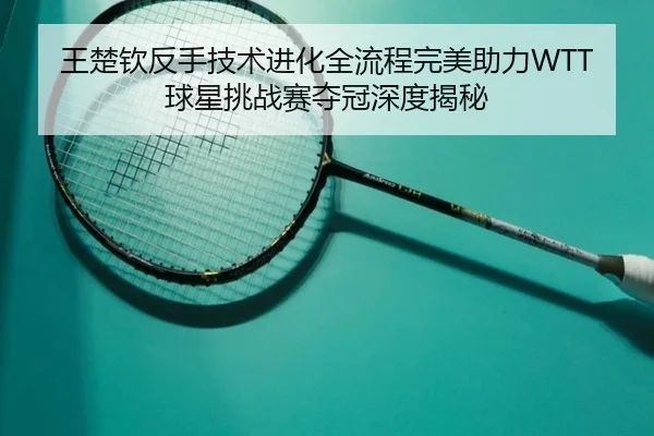 wang-chu-qin-fan-shou-ji-shu-jin-hua-quan-liu-cheng-wan-mei-zhu-li-qiu-xing-tiao-zhan-sai-duo-guan-shen-du-jie-mi-2-503.jpg