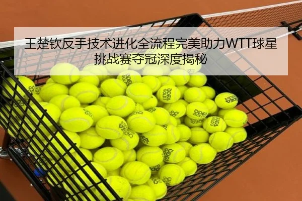王楚钦反手技术进化全流程完美助力WTT球星挑战赛夺冠深度揭秘