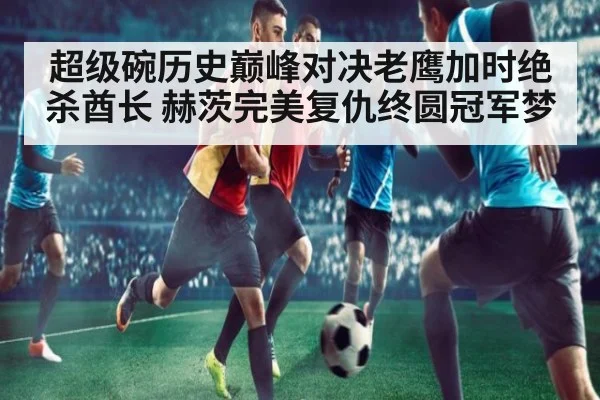超级碗历史巅峰对决老鹰加时绝杀酋长 赫茨完美复仇终圆冠军梦